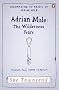 Adrian Mole: The Wilderness Years (Adrian Mole 4)