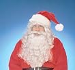 Deluxe Santa Claus Adult Wig and Beard