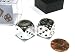 Silver Plated 16mm 6 Sided Dice 2 in Box by Chessex Dice