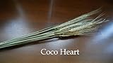 ~Coco Heart~　小麦　（木の実・ドライフラワー）