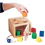 Go Go Toys　（ゴーゴートイズ）　木のおもちゃ　知育玩具　２歳〜　【鍵つきソートボックス】 ソート