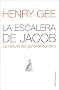 La Escalera de Jacob (Paidos Transiciones)
