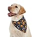 Aria Howl-O-Ween Pumpkins Bandanas for Dogs, Black