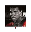 Ali - Boxing Gloves - 16 x 16 Poster