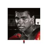 Ali - Boxing Gloves - 16 x 16 Poster