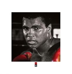 Ali - Boxing Gloves - 16 x 16 Poster