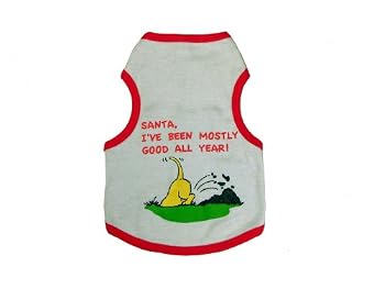 Santa I've Been Mostly Good All Year Dog / Cat Sassy Tee