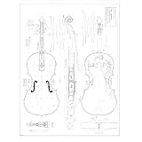 11 Viola (Charles IX) A Amati