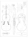 11 Viola (Charles IX) A Amati