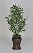 Artificial Variegated Ficus Floor Plant in Hammered Metal