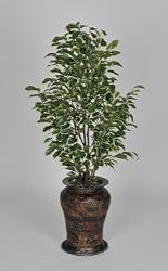 Artificial Variegated Ficus Floor Plant in Hammered Metal
