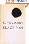 Black Sun: A novel
