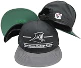 Providence Friars Classic Split Bar Snapback Adjustable Snap Back Hat / Cap