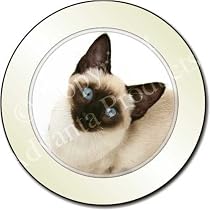 SIAMESE KITTEN/CAT Tax Disc Holder