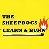  Learn & Burn