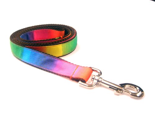 Large Rainbow Dog Leash - Nylon Webbing: 1