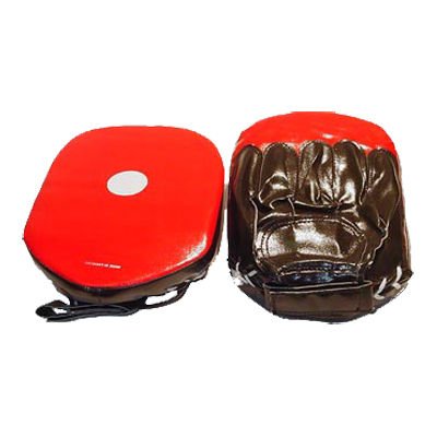 Coaching Gloves Focus Mitts
