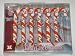 TENNESSEE VOLUNTEERS Team Logo & Colors CANDY CANE CHRISTMAS ORNAMENT SET (6 pack)