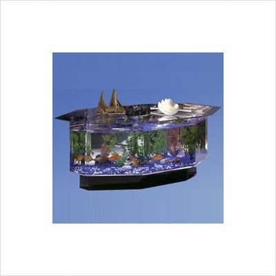 Aqua Coffee Table 680 Aquarium