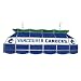 NHL Vancouver Canucks Stained Glass 40 inch Lighting Fixture