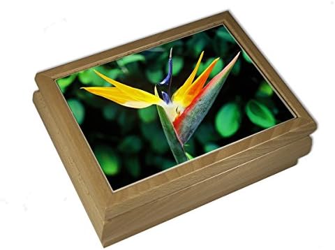 Hawaiian Music Box in Birch Wood - Bird of Paradise - 'Aloha Oe' Tune