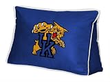 Kentucky Wildcats Wedge Pillow by Sports Coverage
