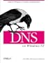 DNS on Windows NT