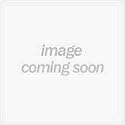 Planet Waves 10 Standard Guitar Picks - Celluloid - Assorted Pearl-Medium