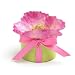 Bloembox Original: Shirley Poppy in Gift Box