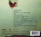 Rarities, B-Sides 2 And Other Stuff, Volume 2