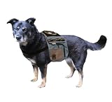 Pet Supplies : Urban Adventure Backpack, Medium - Colors May Vary