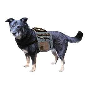 Urban Adventure Backpack, Medium - Colors May Vary