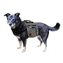 Urban Adventure Backpack, Medium - Colors May Vary