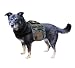 Pet Supplies : Urban Adventure Backpack, Medium - Colors May Vary