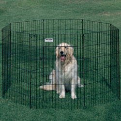 Precision Pet Ultimate Black Wire Exercise Pen Enclosure- eight 2-foot wide panels - 30" height 9 guage wire