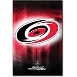 Professionally Framed Carolina Hurricanes Logo 2010 Sports Poster Print - 22x34 with RichAndFramous Black Wood Frame