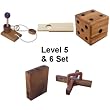Puzzle Master .Level 5 and 6 - a set of 5 wood puzzles (difficulty 5 of 10)