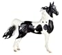 American Saddlebred�