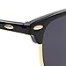 Flowertree Rb3016 Browline Sunglasses