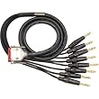 Mogami Gold DB25-TRS 25  Analog Interface 25 feet