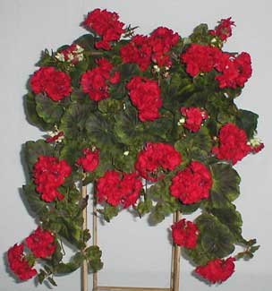 Silk Geranium Ledge Garden
