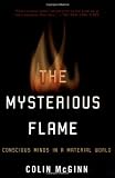 The Mysterious Flame: Conscious Minds In A Material World