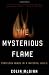 The Mysterious Flame: Conscious Minds In A Material World