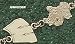 Univ Of Wisconsin Bucky/W Bracelet 7.5 -Choose From 14K Gold 10K Gold or Stainless Steel