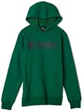 Etnies Boys 8-20 Corporate Hooded Fleece