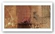 Safari Sunset I by Tandi Venter 36"x18" Art Print Poster