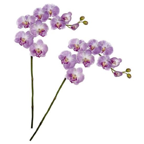 Deko-Woerner Orchideen-Zweige 80cm rosa 2St.