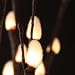 Natural Pussy Willow Branch Lights 80 Lights