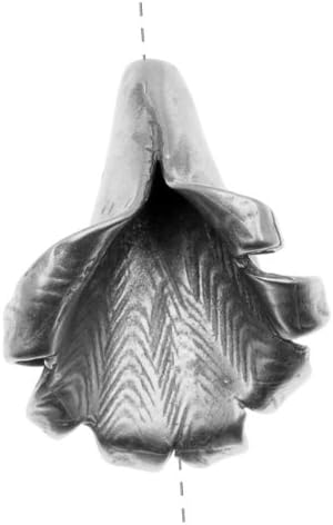 Antiqued Silver Plated Floral Cone Bead Cap 21mm (1)