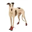 Designer Dog Boots (D.O.G.) - Red Dog Boots - Small
